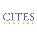 Virtual Private Network (VPN) for Windows - UIUC Only